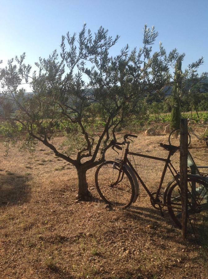 Bed and Breakfast Le Vieux Portail Saint-Saturnin-lès-Apt Exterior foto