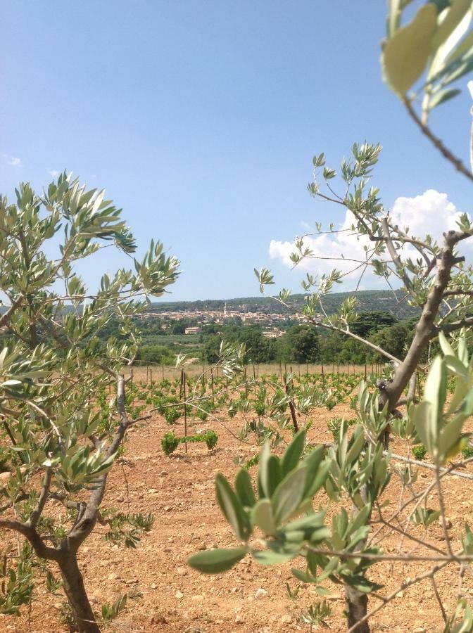 Bed and Breakfast Le Vieux Portail Saint-Saturnin-lès-Apt Exterior foto