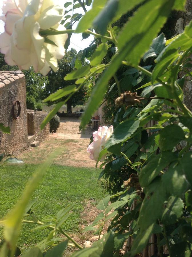 Bed and Breakfast Le Vieux Portail Saint-Saturnin-lès-Apt Exterior foto